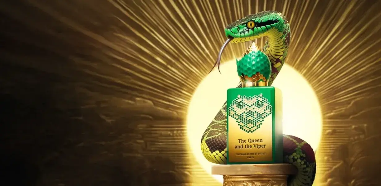 Kokunuz İle Baş Dönderin