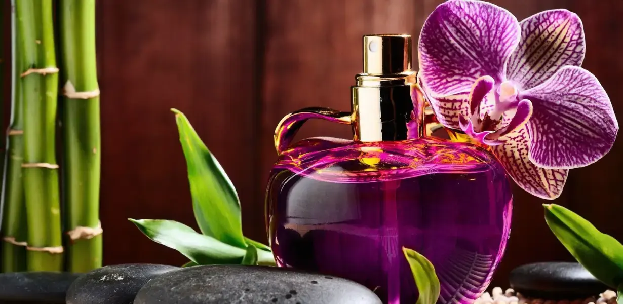 Parfüm Markaları ve Fiyatları Üzerine Her Şey Orijinal Kalıcı ve Uygun Fiyatlı Parfüm Rehberi