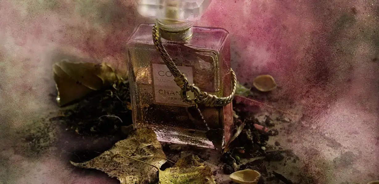 Orijinal Parfüm Ucuz Parfüm ve Uygun Parfüm