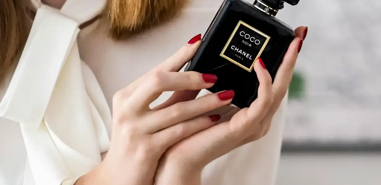 Fougère Koku Ailesi Bir Keşif Yolculuğu