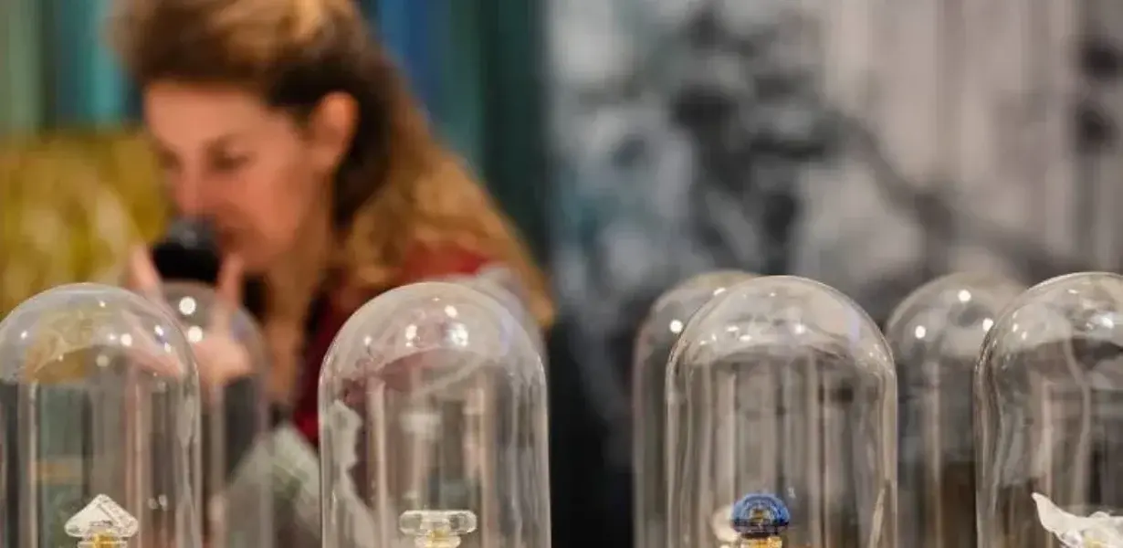 Parfümünüzden Sıkıldıysanız Sorun Kokuda Değil, Kullanım Şeklinde Olabilir