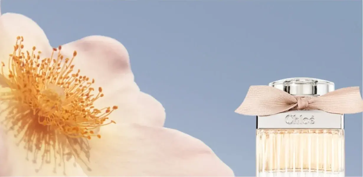 Sıkça Duyulan Parfüm Kavramları Nelerdir?