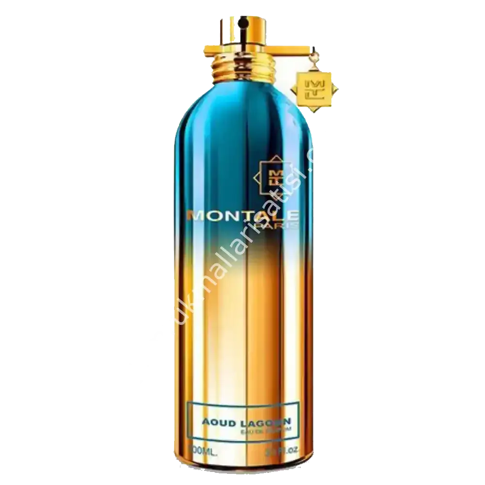 Montale Spray Aoud Lagoon EDP Unisex Tester Parfum 100 Ml
