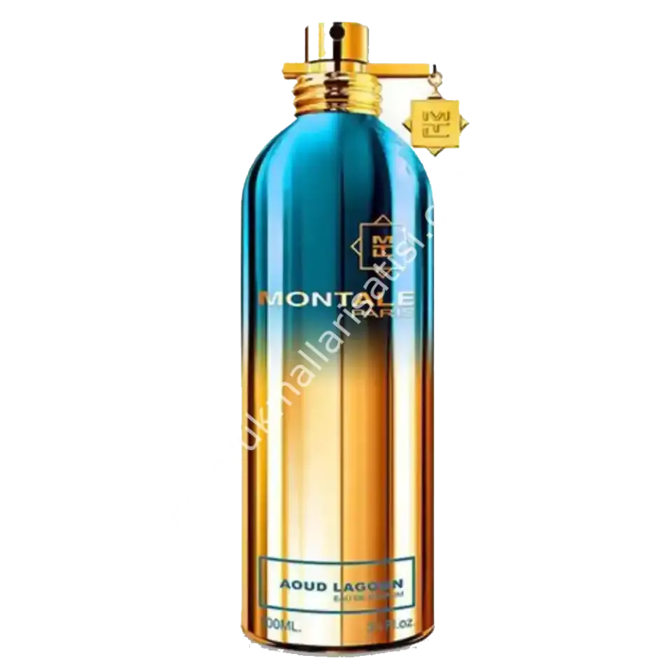 Montale Spray Aoud Lagoon EDP Unisex Tester Parfum 100 Ml