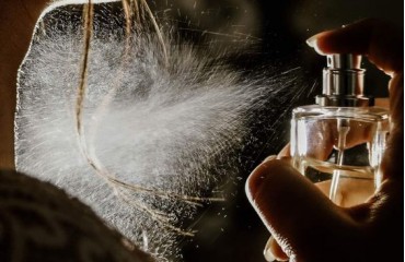 Fougère Koku Ailesi Bir Keşif Yolculuğu