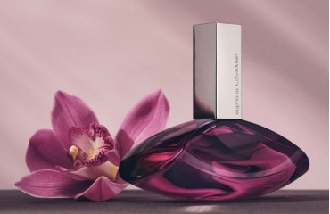 Orijinal Parfüm Sorgulama Nedir? Sahte Parfüm Nasıl Anlaşılır?