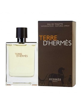 Hermes Terre Edt Erkek Parfüm 100 Ml